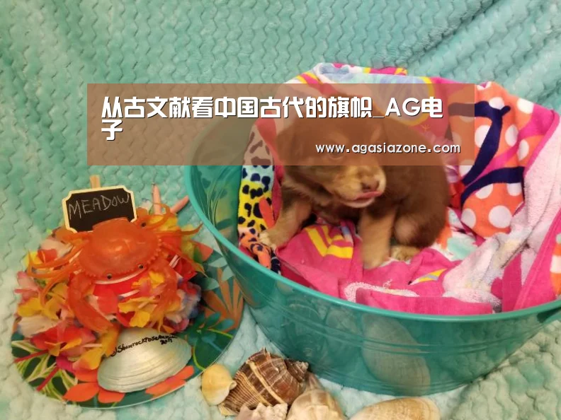 从古文献看中国古代的旗帜_AG电子(图2) AG竞猜