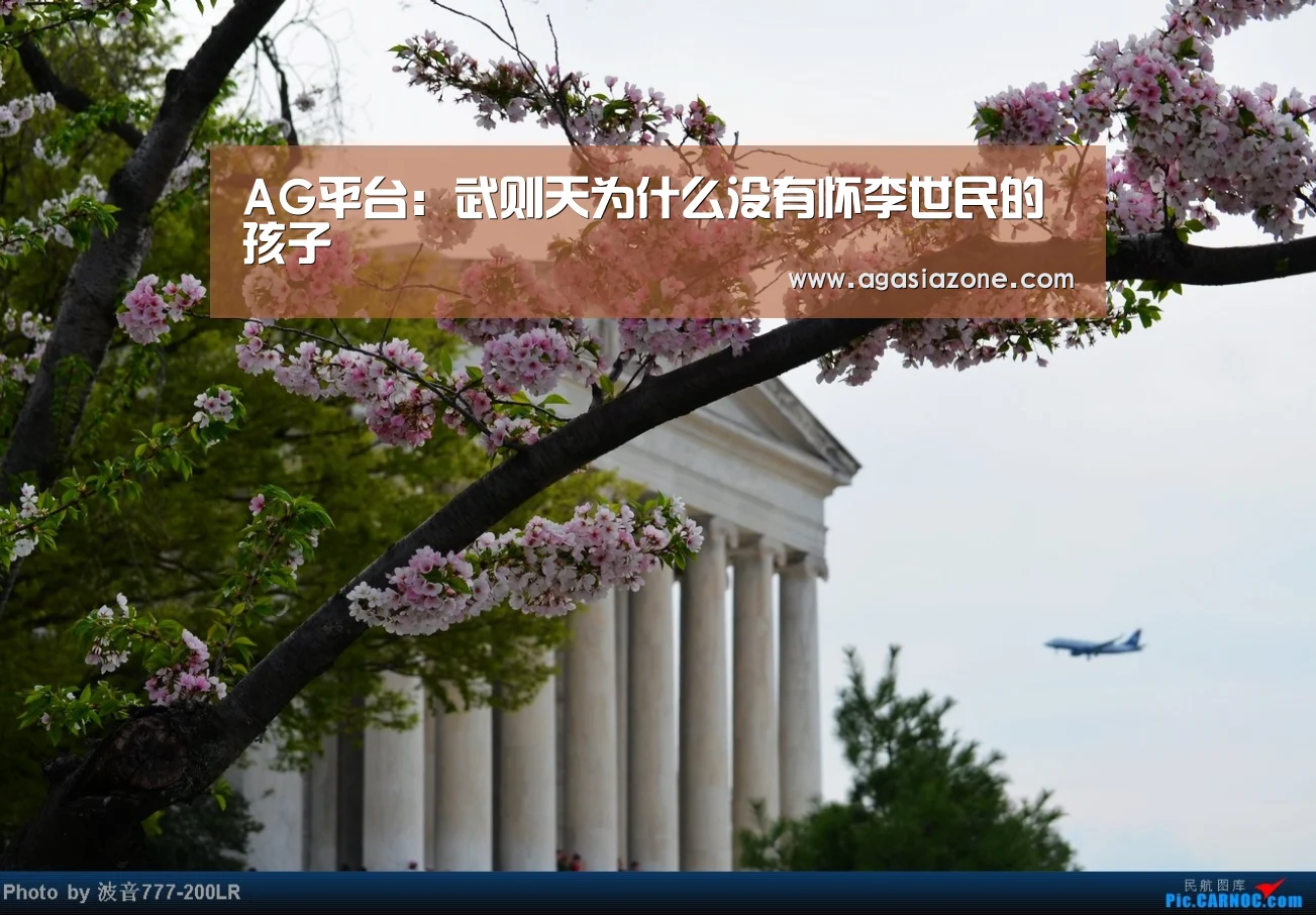 AG下载