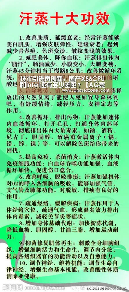 技术引进再创新,国产X86CPU和Intel还有多少差距?【AG竞猜】(图1) AG平台