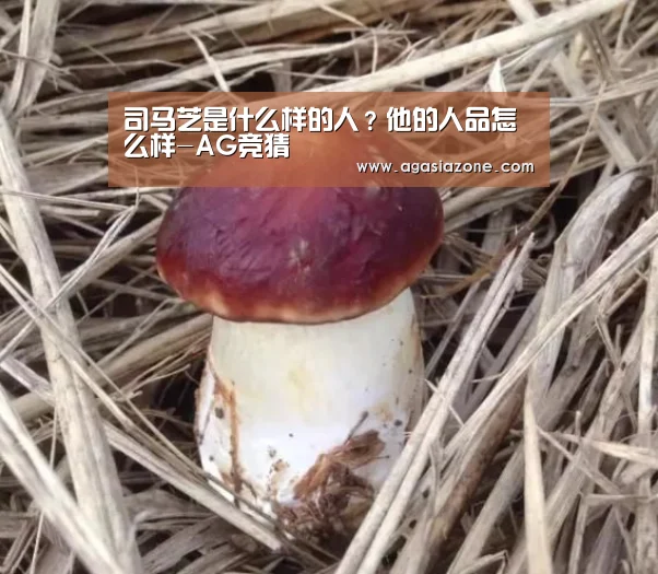 司马芝是什么样的人?他的人品怎么样-AG竞猜(图2) AG平台