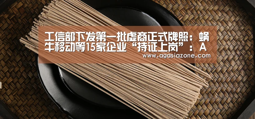 工信部下发第一批虚商正式牌照:蜗牛移动等15家企业“持证上岗”:AG竞猜(图3) AG平台