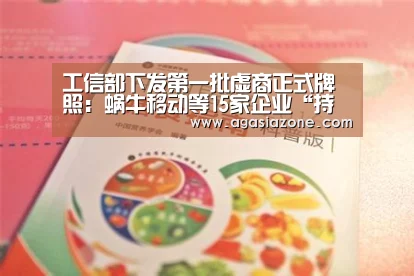工信部下发第一批虚商正式牌照:蜗牛移动等15家企业“持证上岗”:AG竞猜(图1) AG下载
