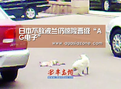 AG竞猜