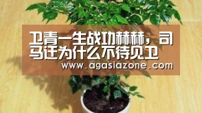 AG平台